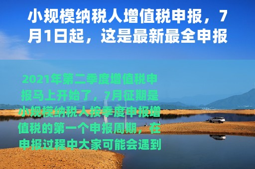 小规模纳税人增值税申报，7月1日起，这是最新最全申报方式