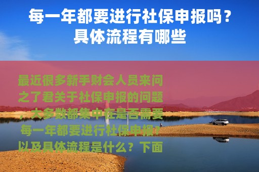 每一年都要进行社保申报吗？具体流程有哪些