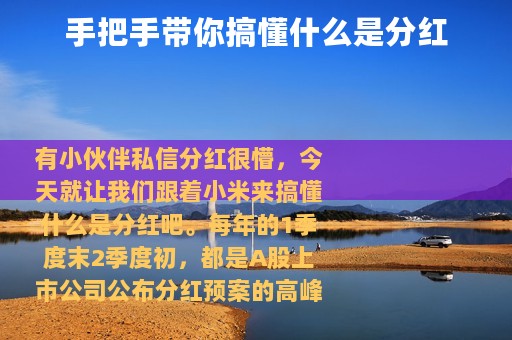 手把手带你搞懂什么是分红