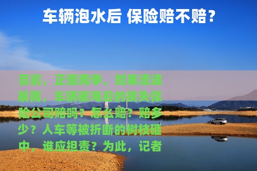 车辆泡水后 保险赔不赔？
