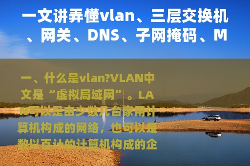 一文讲弄懂vlan、三层交换机、网关、DNS、子网掩码、MAC地址