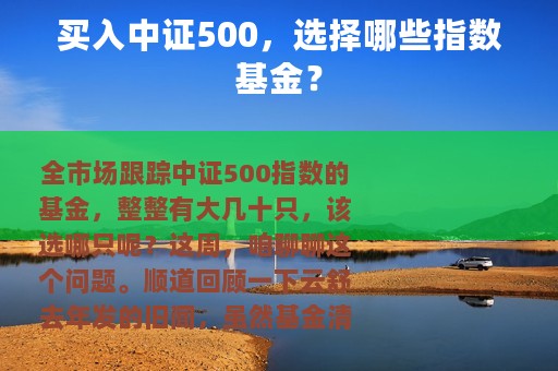 买入中证500，选择哪些指数基金？