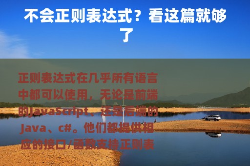 不会正则表达式？看这篇就够了