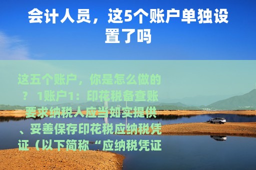 会计人员，这5个账户单独设置了吗