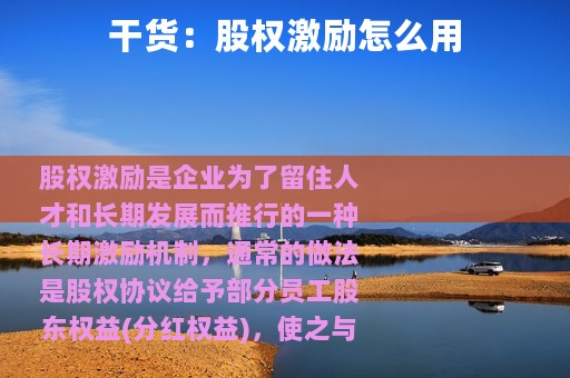 干货：股权激励怎么用