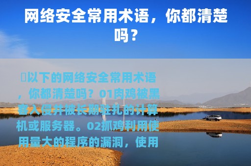 网络安全常用术语，你都清楚吗？
