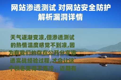 网站渗透测试 对网站安全防护解析漏洞详情