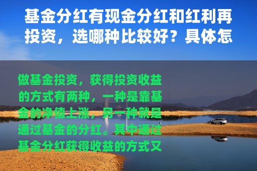 基金分红有现金分红和红利再投资，选哪种比较好？具体怎么操作？