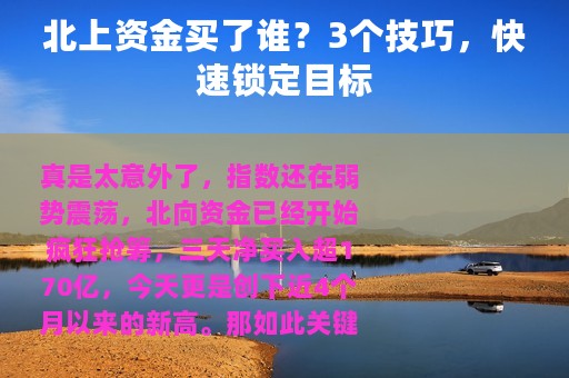北上资金买了谁？3个技巧，快速锁定目标