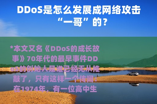 DDoS是怎么发展成网络攻击“一哥”的？
