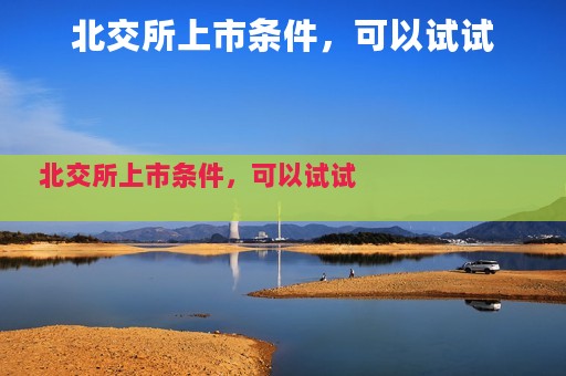 北交所上市条件，可以试试