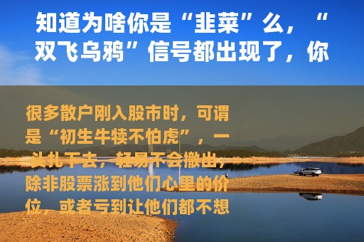 知道为啥你是“韭菜”么，“双飞乌鸦”信号都出现了，你还不走？