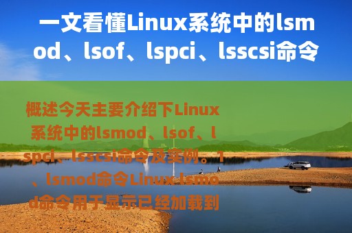 一文看懂Linux系统中的lsmod、lsof、lspci、lsscsi命令
