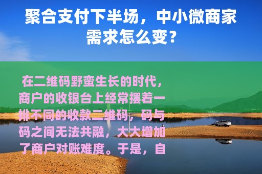 聚合支付下半场，中小微商家需求怎么变？