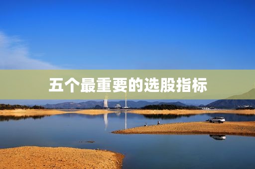 五个最重要的选股指标