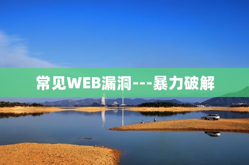 常见WEB漏洞---暴力破解