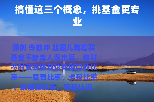 搞懂这三个概念，挑基金更专业