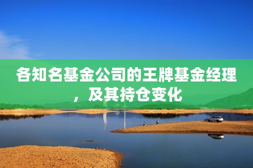 各知名基金公司的王牌基金经理，及其持仓变化