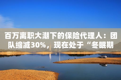 百万离职大潮下的保险代理人：团队缩减30%，现在处于“冬眠期”