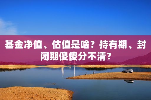 基金净值、估值是啥？持有期、封闭期傻傻分不清？