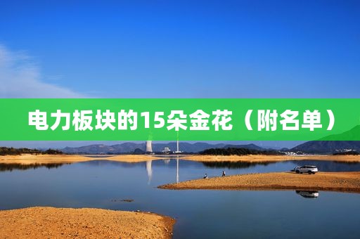 电力板块的15朵金花（附名单）