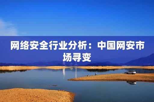 网络安全行业分析：中国网安市场寻变