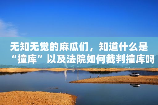 无知无觉的麻瓜们，知道什么是“撞库”以及法院如何裁判撞库吗？