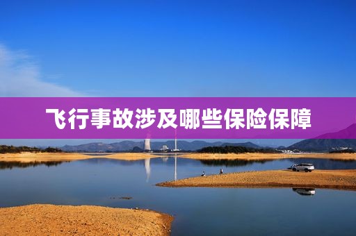 飞行事故涉及哪些保险保障