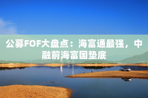 公募FOF大盘点：海富通最强，中融前海富国垫底