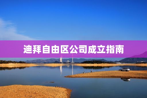 迪拜自由区公司成立指南