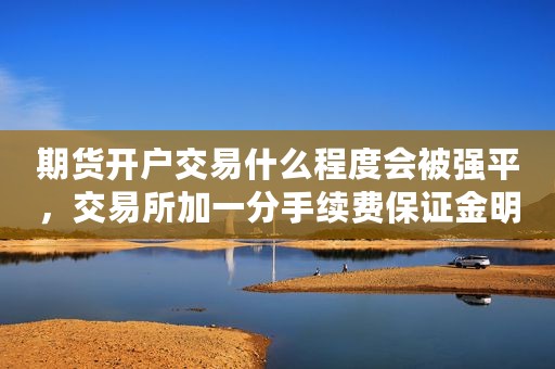 期货开户交易什么程度会被强平，交易所加一分手续费保证金明细