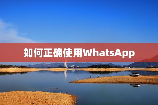 如何正确使用WhatsApp