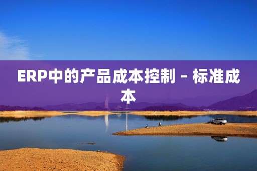ERP中的产品成本控制 – 标准成本
