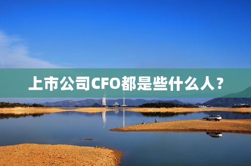 上市公司CFO都是些什么人？