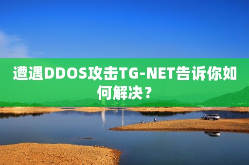 遭遇DDOS攻击TG-NET告诉你如何解决？