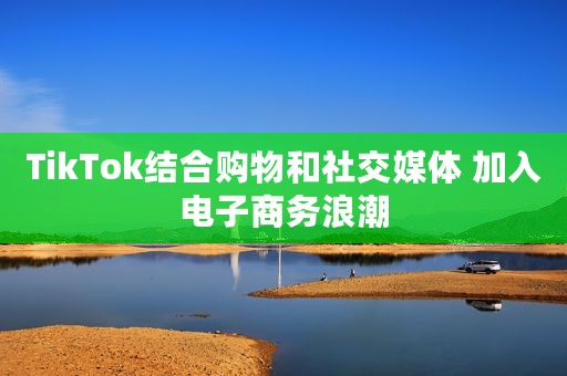 TikTok结合购物和社交媒体 加入电子商务浪潮
