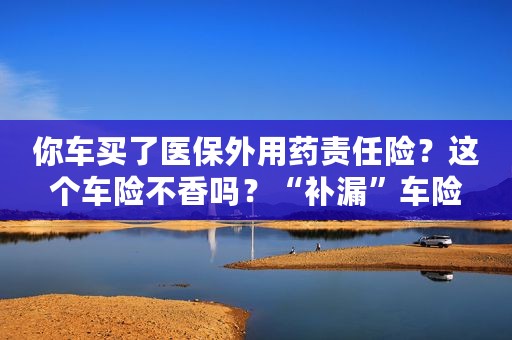 你车买了医保外用药责任险？这个车险不香吗？“补漏”车险