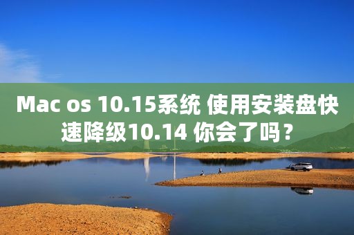 Mac os 10.15系统 使用安装盘快速降级10.14 你会了吗？