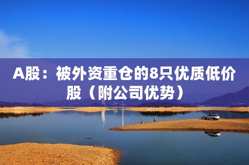 A股：被外资重仓的8只优质低价股（附公司优势）