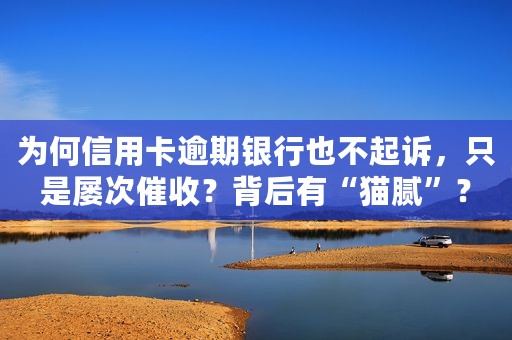 为何信用卡逾期银行也不起诉，只是屡次催收？背后有“猫腻”？