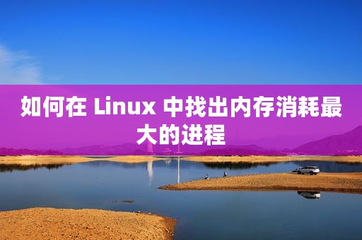 如何在 Linux 中找出内存消耗最大的进程