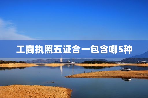 工商执照五证合一包含哪5种