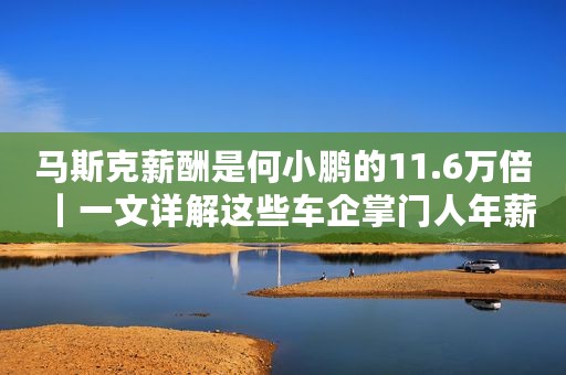 马斯克薪酬是何小鹏的11.6万倍｜一文详解这些车企掌门人年薪