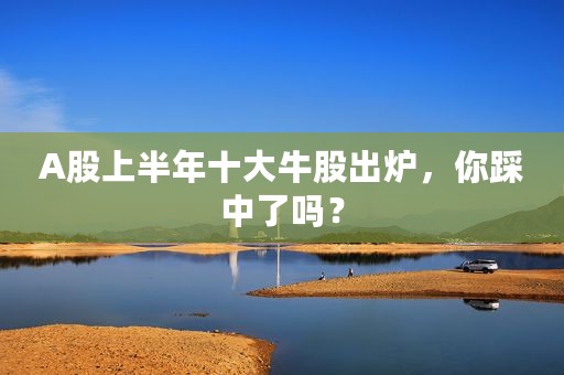 A股上半年十大牛股出炉，你踩中了吗？