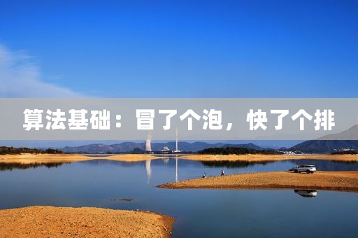 算法基础：冒了个泡，快了个排