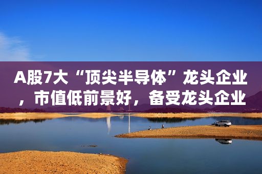 A股7大“顶尖半导体”龙头企业，市值低前景好，备受龙头企业青睐