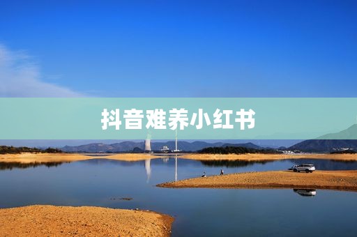 抖音难养小红书