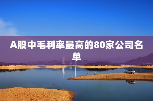 A股中毛利率最高的80家公司名单