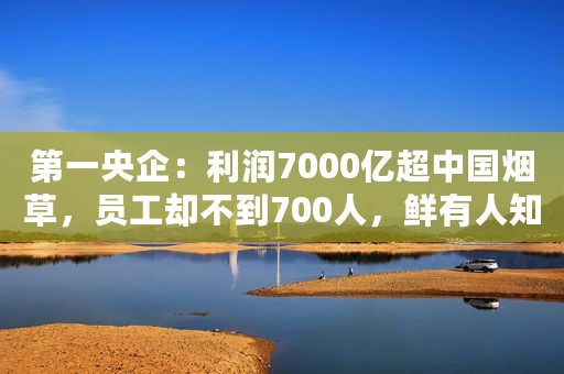 第一央企：利润7000亿超中国烟草，员工却不到700人，鲜有人知