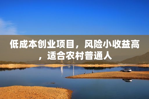 低成本创业项目，风险小收益高，适合农村普通人